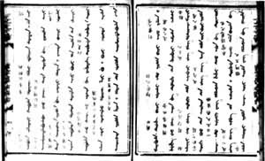 满汉文合壁的《择繙聊斋志异》　此书刻于道光二十八年（1848），译者扎克丹