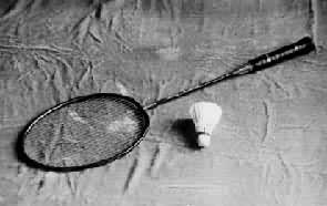 图4　羽毛球拍和球