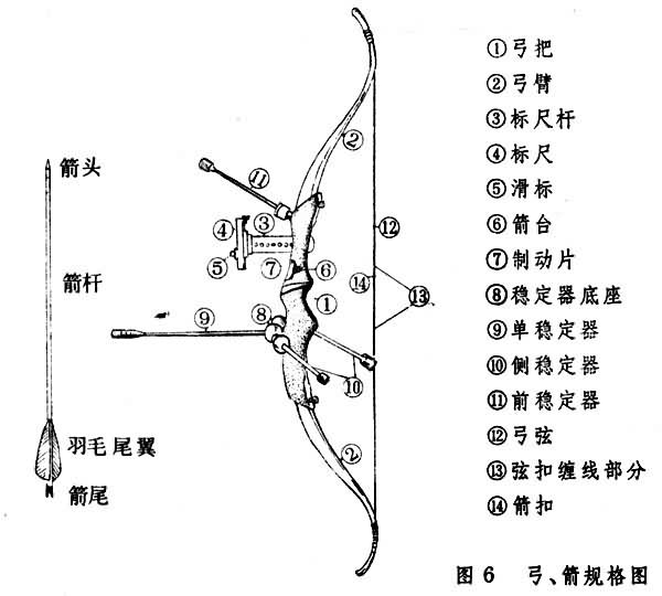 图6