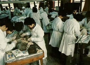 中国首都医科大学学生在上人体解剖课