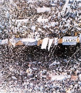 1978年世界杯足球赛阿根廷队胜荷兰队后观众欢呼的场面