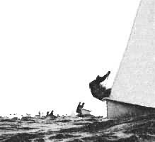 图2　“飞行荷兰人”型帆船