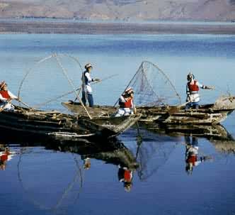白族姑娘在洱海捕鱼