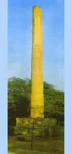 彩图  印度阿育王石柱