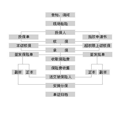 企业财产投保流程