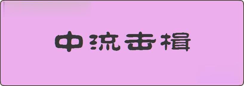 中流击楫造句