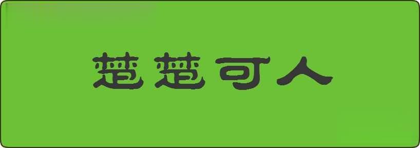 楚楚可人造句