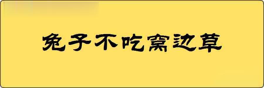 兔子不吃窝边草造句