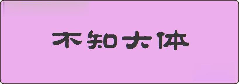 不知大体造句