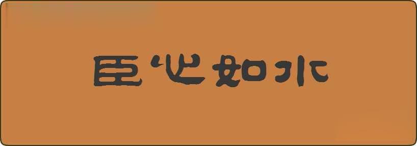 臣心如水造句