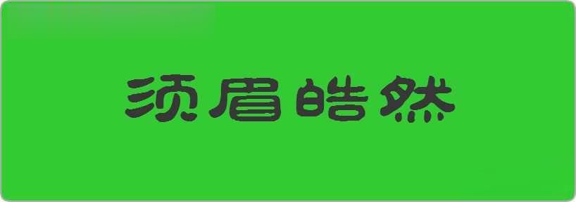 须眉皓然造句