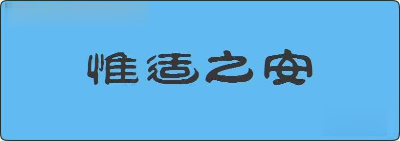 惟适之安造句