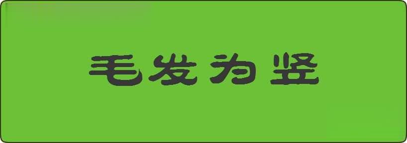 毛发为竖造句