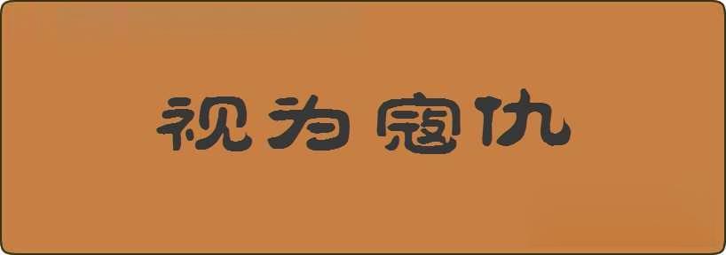 视为寇仇造句