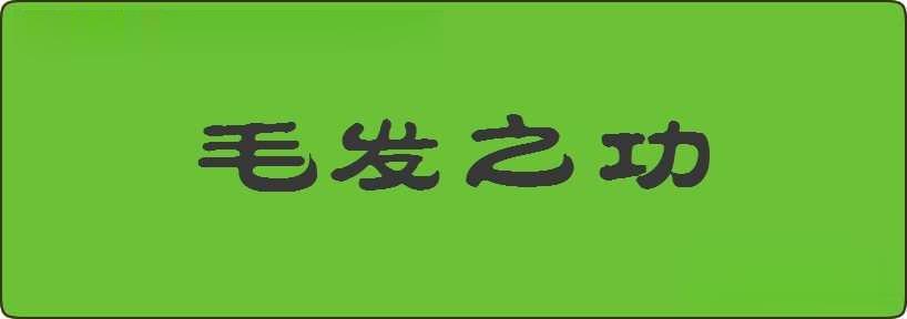 毛发之功造句