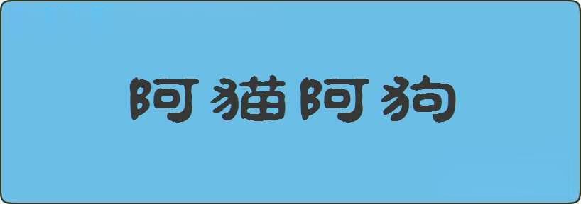 阿猫阿狗造句