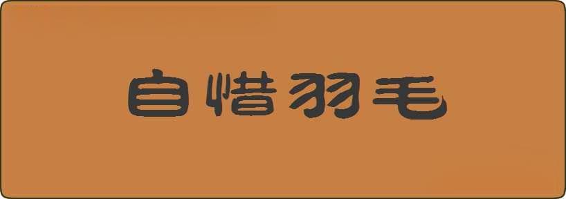 自惜羽毛造句