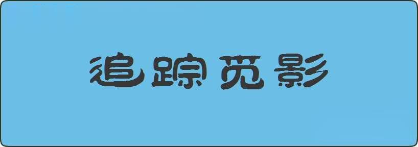 追踪觅影造句