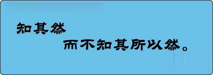 知其然而不知其所以然造句