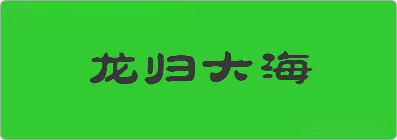 龙归大海造句