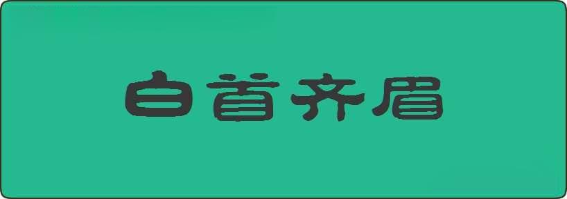 白首齐眉造句