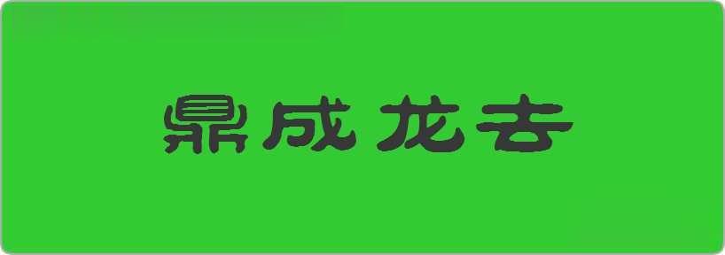 鼎成龙去造句