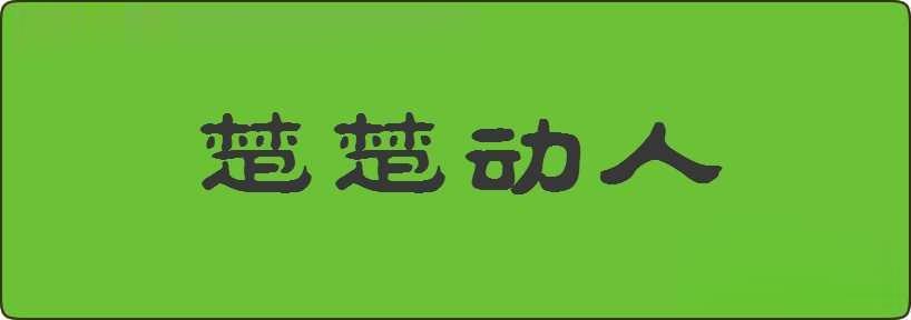 楚楚动人造句