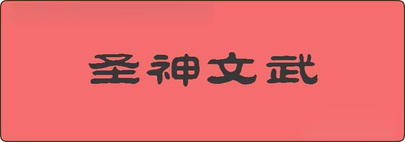 圣神文武造句