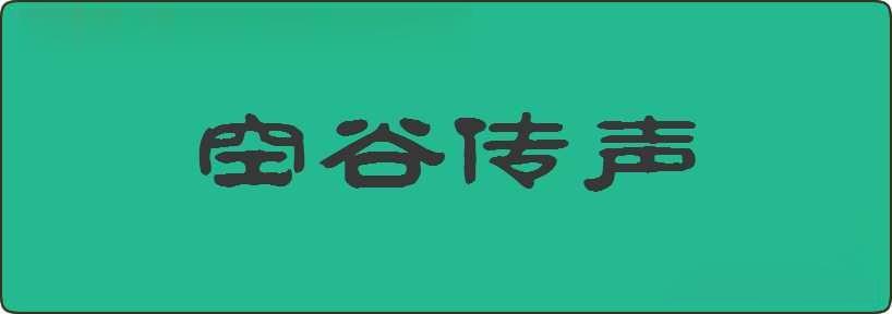 空谷传声造句