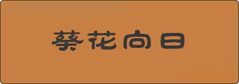 葵花向日造句