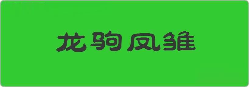 龙驹凤雏造句