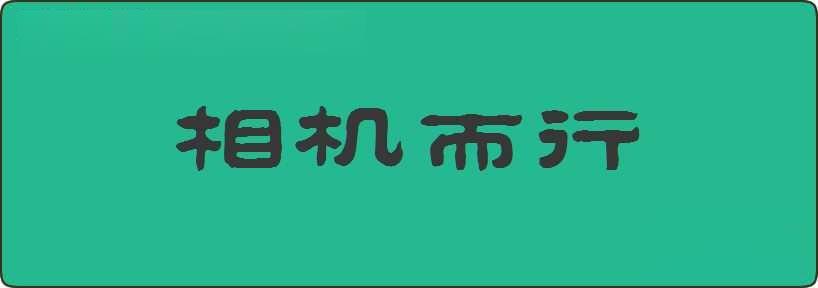 相机而行造句