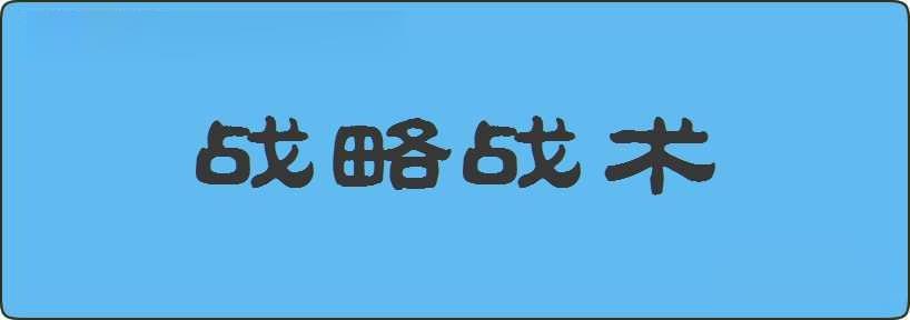 战略战术造句