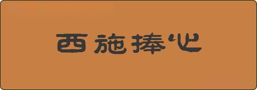 西施捧心造句