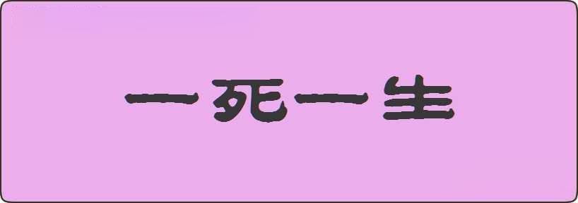 一死一生造句