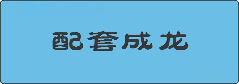 配套成龙造句