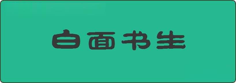 白面书生造句