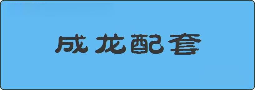 成龙配套造句