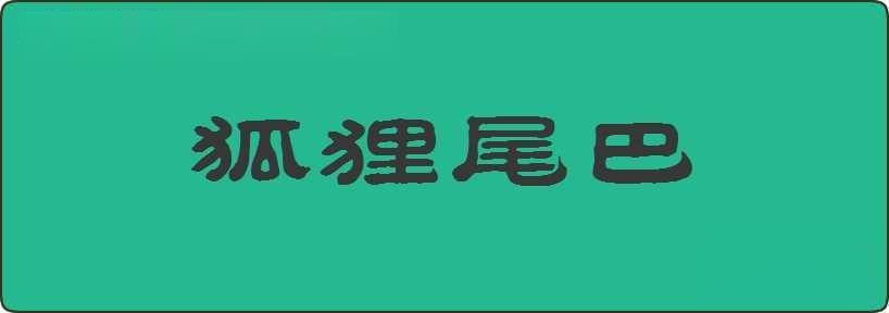 狐狸尾巴造句