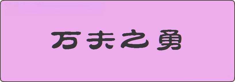 万夫之勇造句