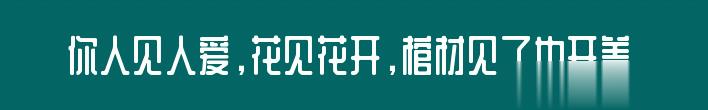 百问爆笑经典笑话大全