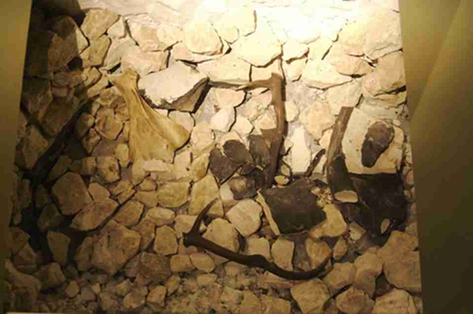 斯皮耶纳的矿井为早期人类发明和应用燧石矿提供特殊的证据