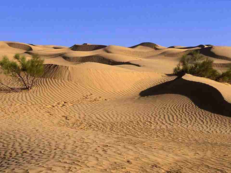 撒哈拉沙漠约形成于二百五十万年前