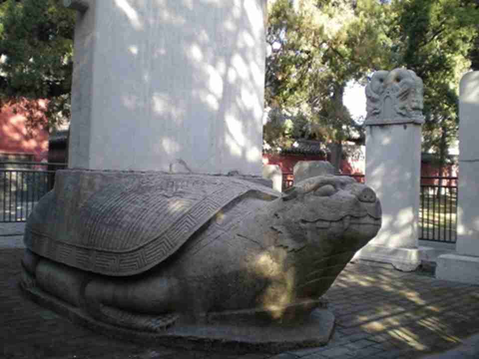 郭沫若曾说：“这（孔林）是一个很好的自然博物馆，也是孔氏家族的一部编年史”