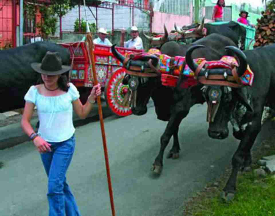 在牛车上绘画和装饰牛车的传统始于20世纪初