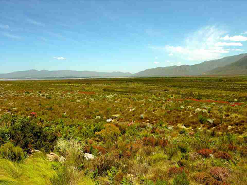 弗洛勒尔角位于南非西南角