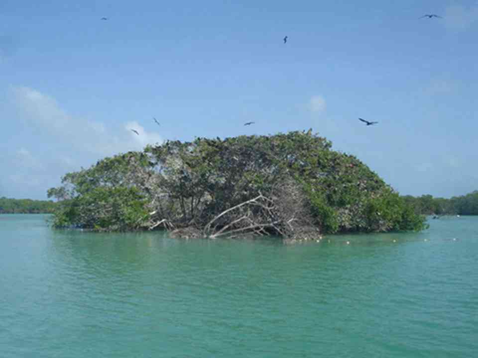 圣卡安位于墨西哥尤卡坦半岛东岸