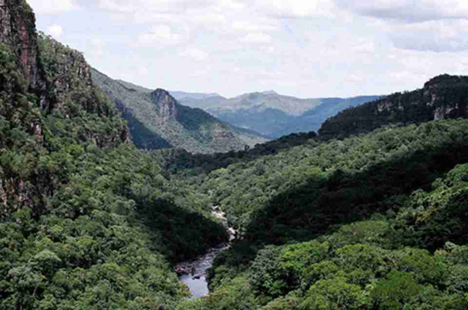 塞拉多保护区位于巴西的中部广阔的高原地区