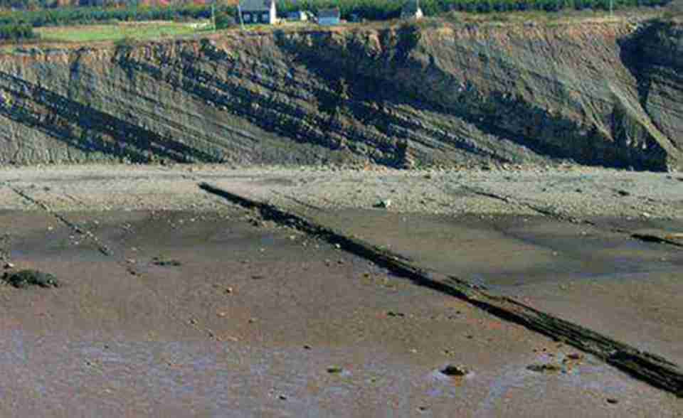 乔金斯化石崖壁位于加拿大东部