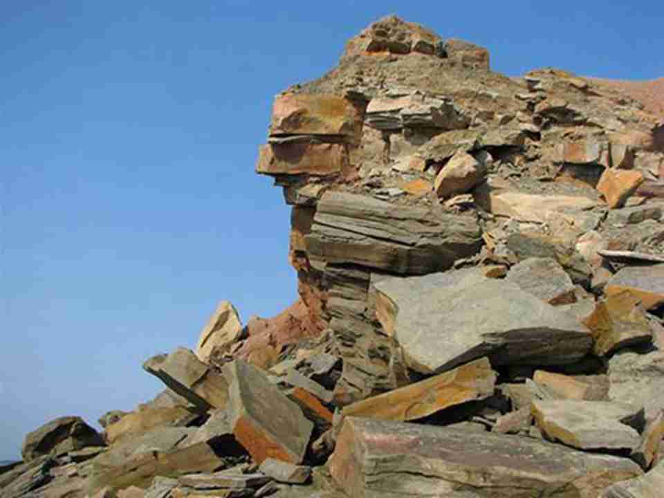 加拿大乔金斯化石崖壁是一处世界级古生物学遗址
